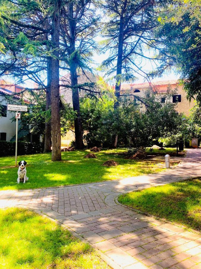 Istria Apartment - 3 Minutes From The Beach Novigrad  Luaran gambar